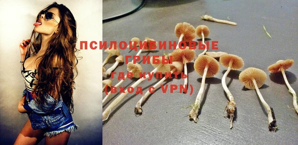 Альфа ПВП Козельск