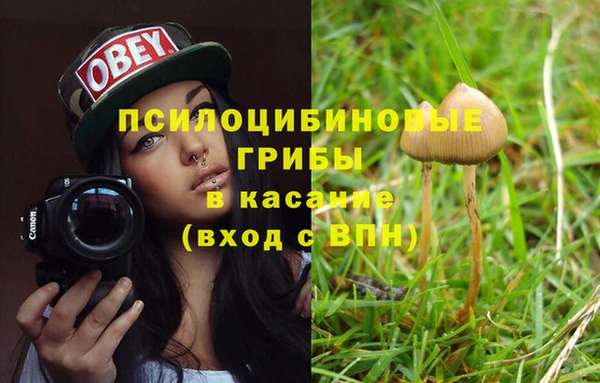 мескалин Коряжма