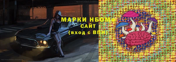 стаф Кодинск