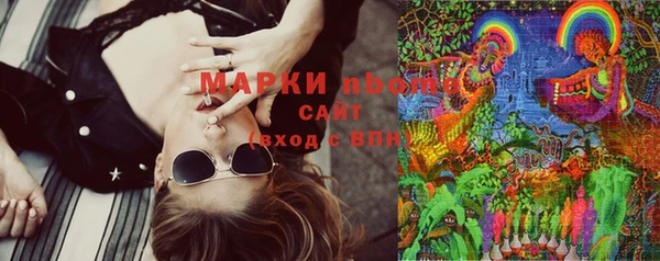 стаф Кодинск