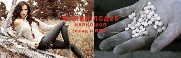 стаф Кодинск
