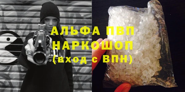 стаф Кодинск