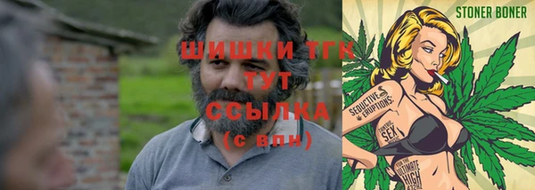 стаф Кодинск