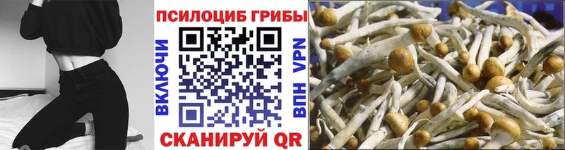 Псилоцибиновые грибы мицелий Называевск